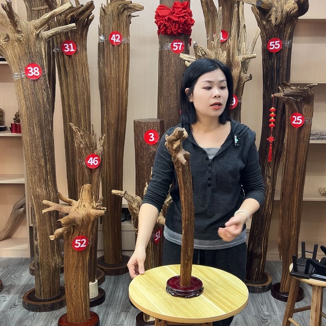 沉香沉香碎屑沉香