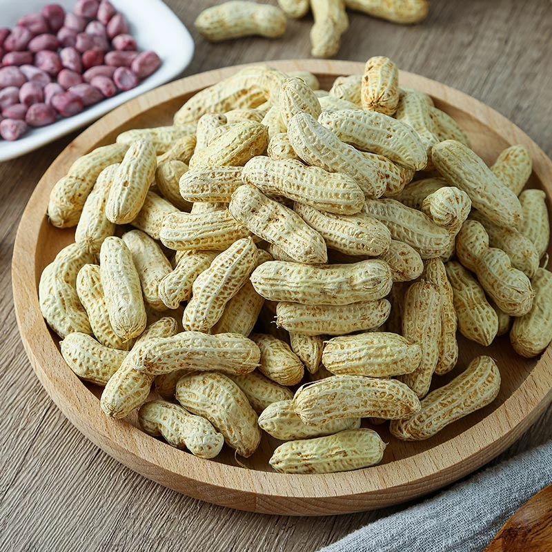 龙岩多粒紫衣湿烤花生500g休闲零食特产配茶配酒清甜香脆坚果炒货