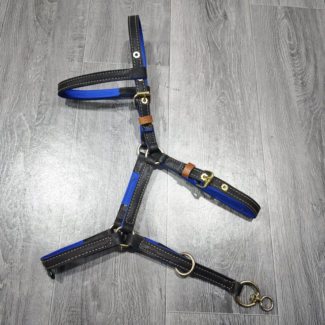 新款双层加厚马龙头结实耐用大小可调节调教牵马适用