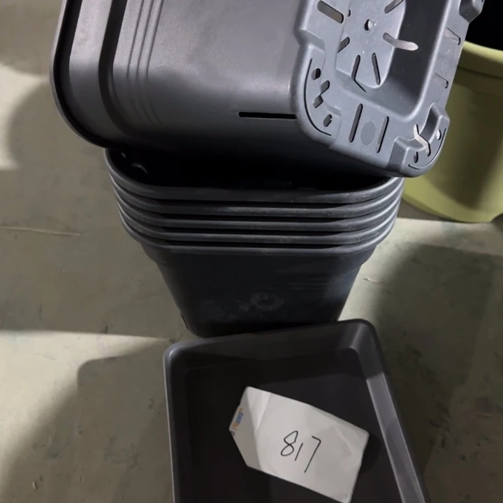 编号是817号的817号的花盆