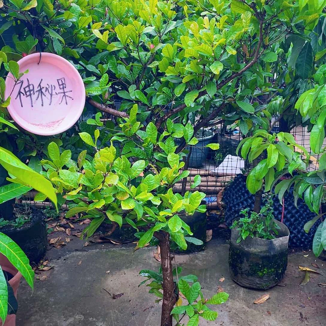 完全开放1111111111111111