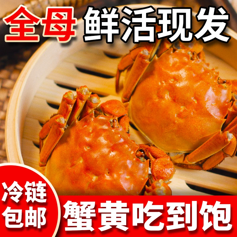 「活蟹」苏州大闸蟹全母蟹3两8只装精挑蟹高品质