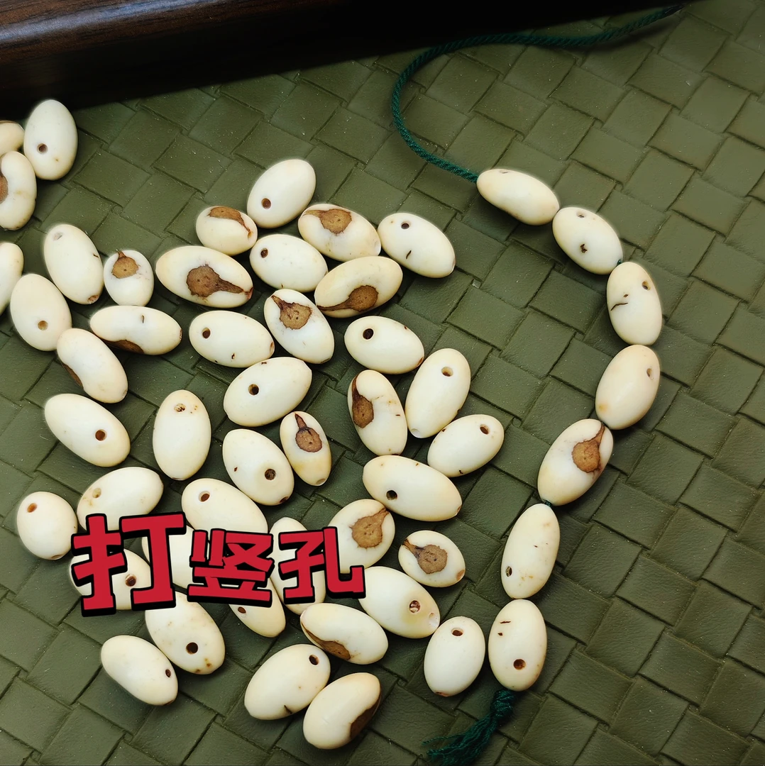 非金属木质手链 蒲葵籽小佛眼菩提已抛光有孔和无孔60颗手工串珠