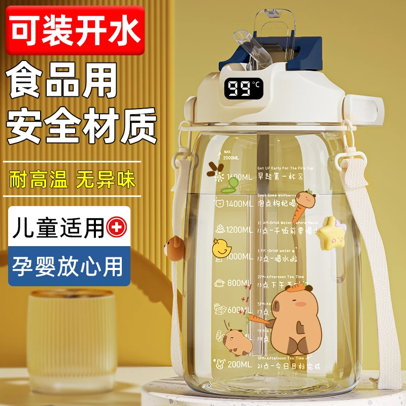 2000ml双饮大容量水杯大号女高颜值杯子耐高温夏大肚杯2025年新款