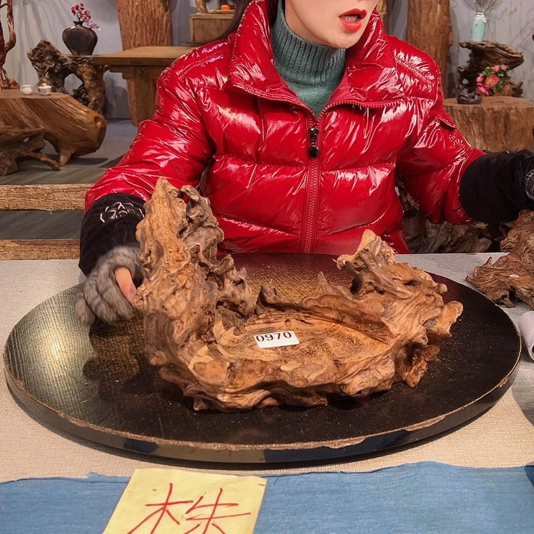 木匹*970 jvhvhvhvhbbbb