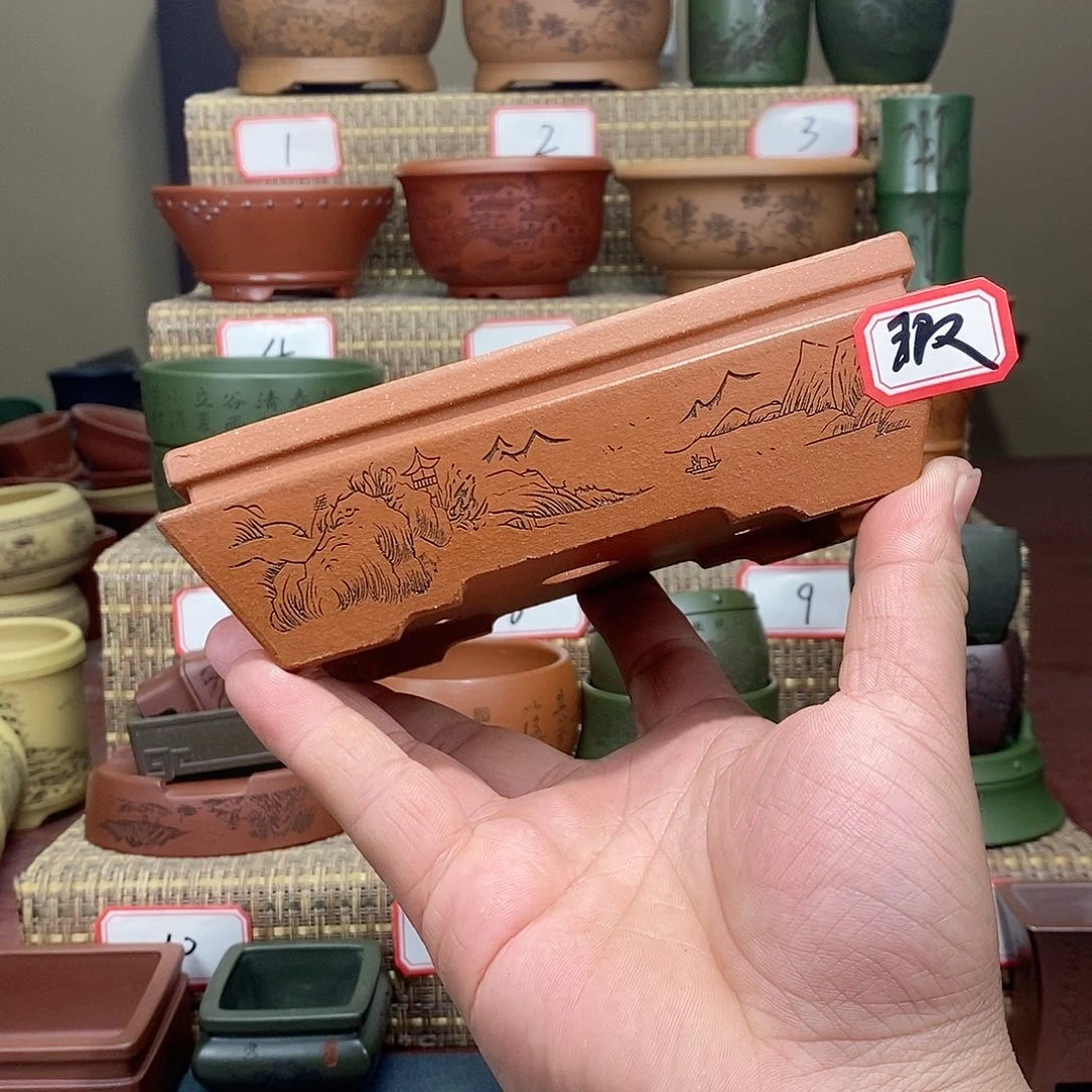 紫砂花盆我在等他