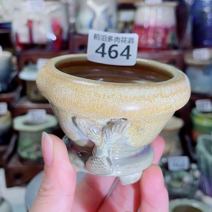 狼盆内口径6高度6