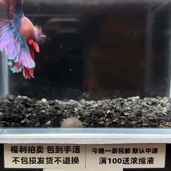 斗鱼跑单拉黑3日142