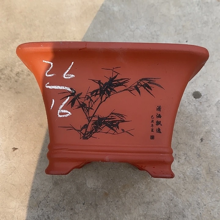 紫砂花盆这是我的