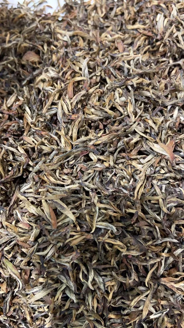 红茶 2024年红茶 香气浓郁