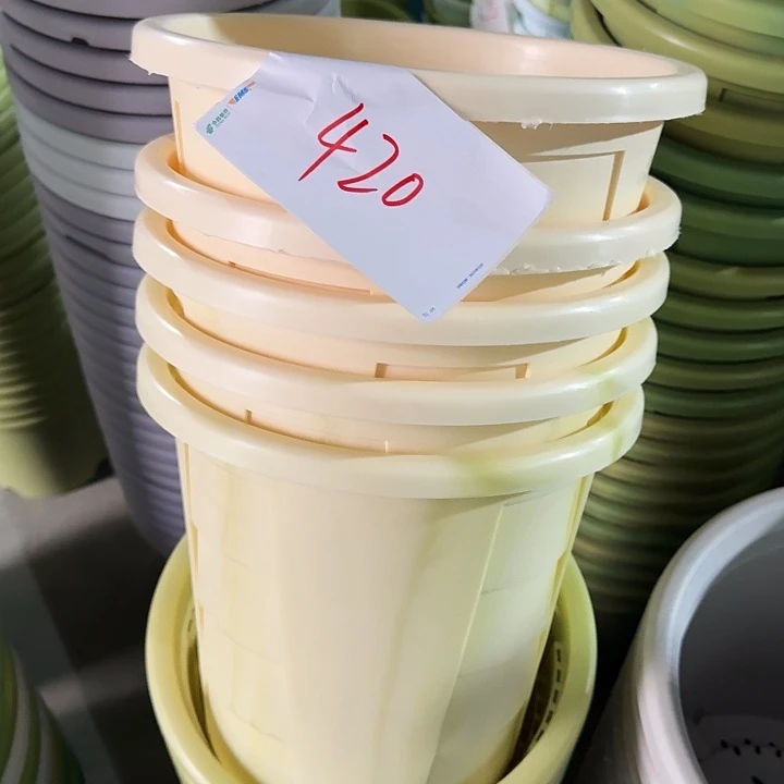 编号420串色5个无托