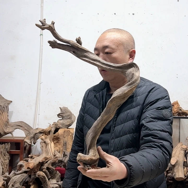 柏木仲*我们的生活也是