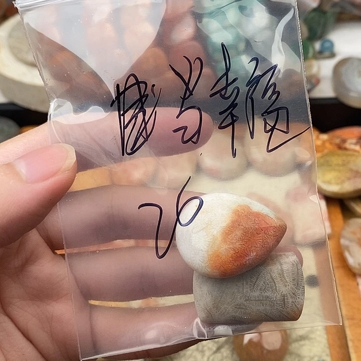 当***袭硅化玉（树化玉）未镶嵌颈饰