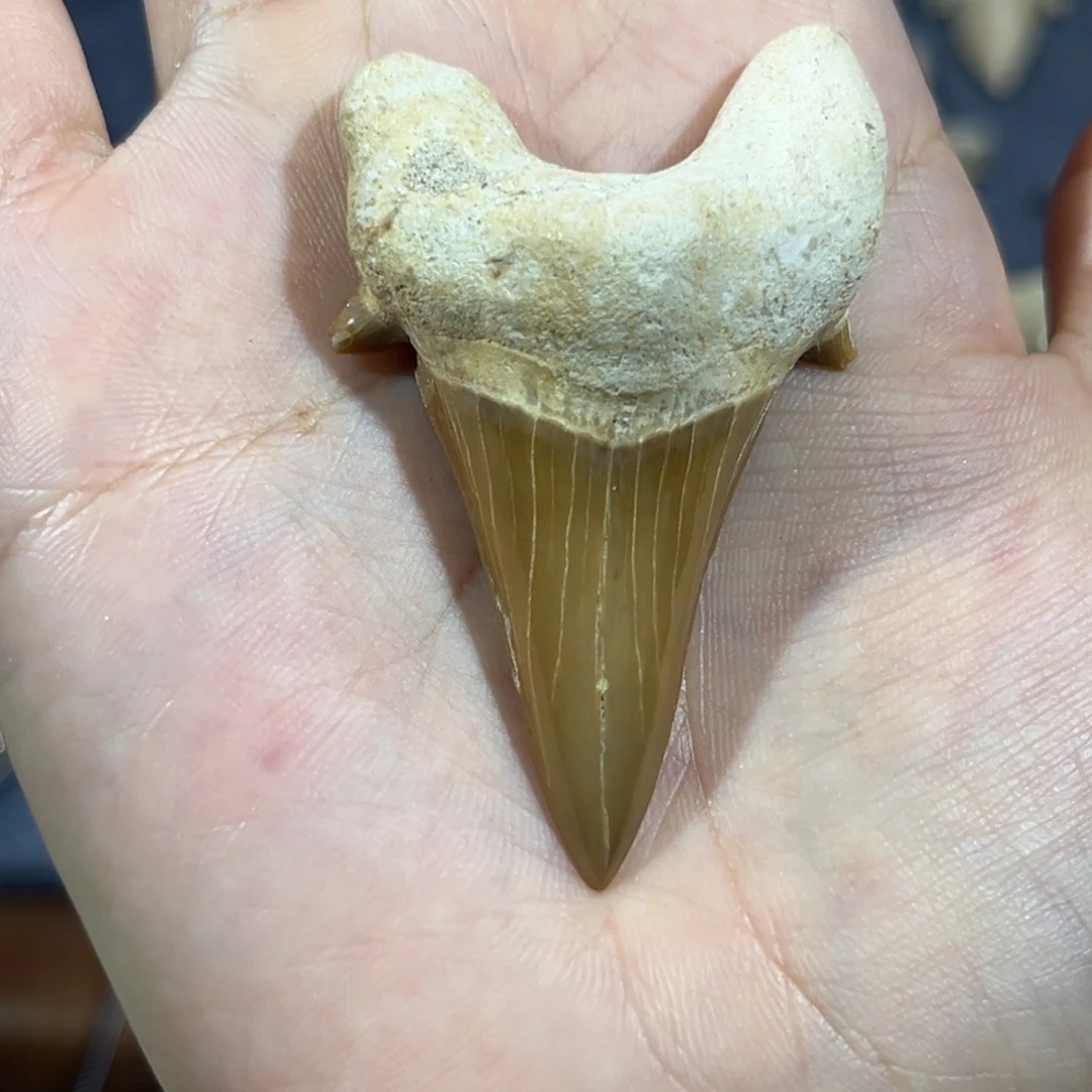 石材光***1牙牙牙牙摆件