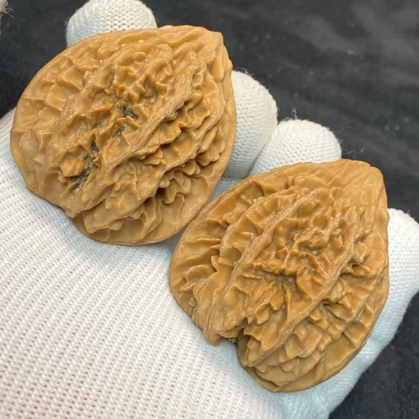 40全品状元冠核桃（0518）一物一图。边40肚38高46