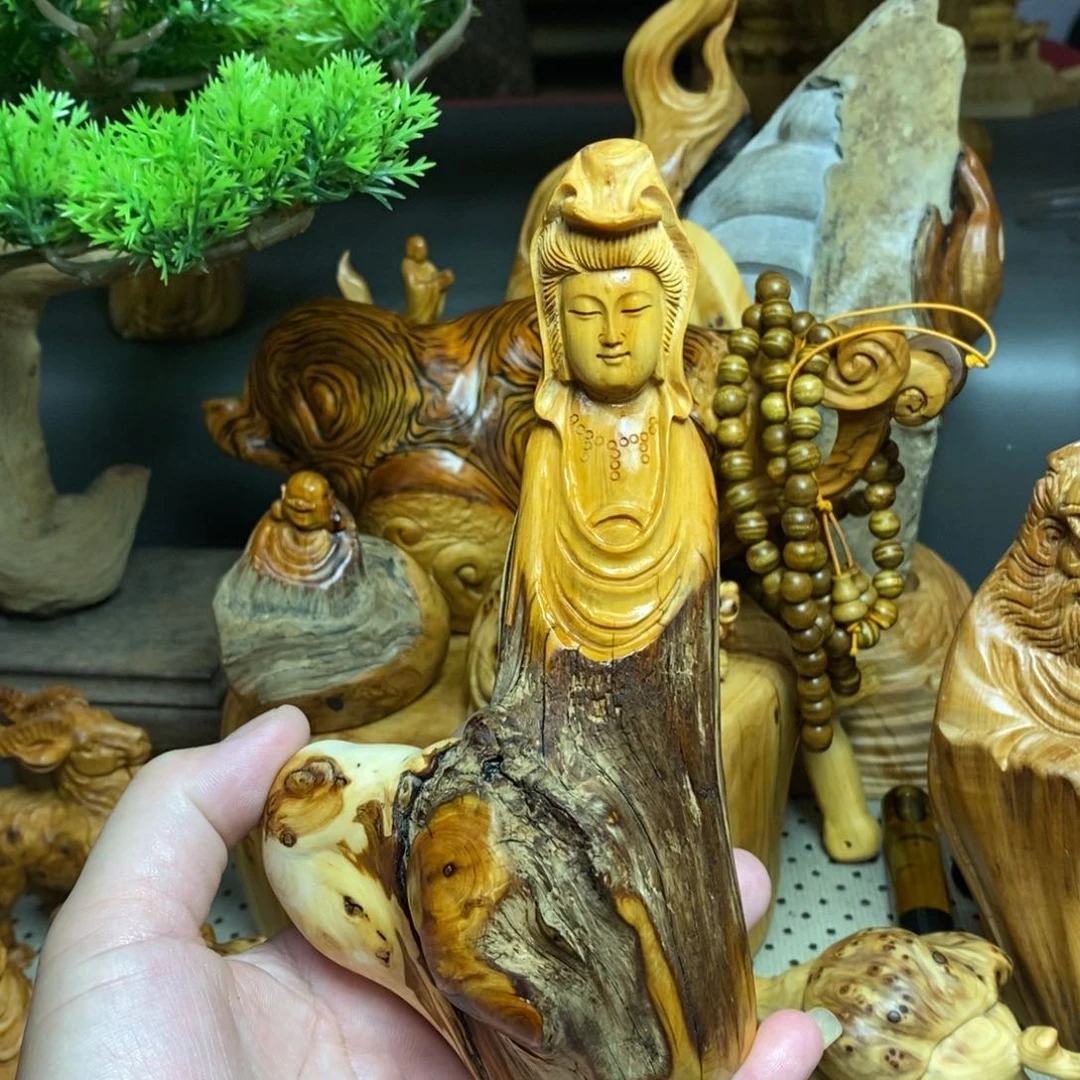 柏木（崖柏）太行山上