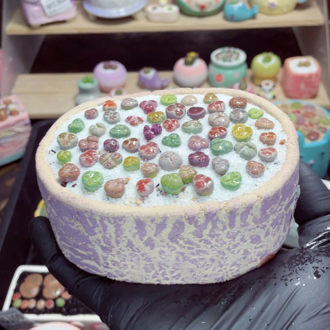 夜间零下地区拍保温箱w5301