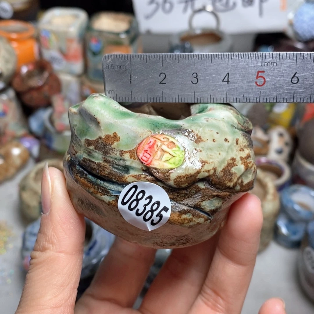 花盆拍3送一个小礼物