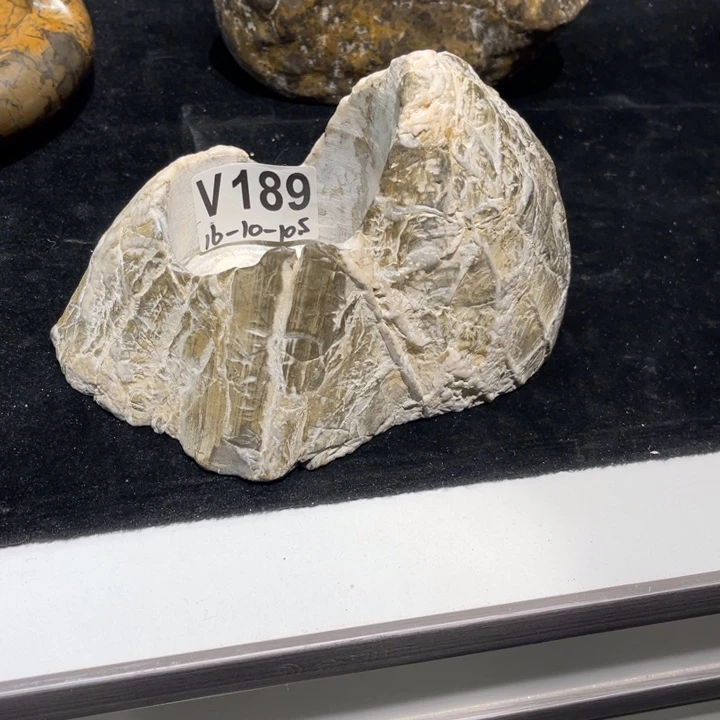 紫砂茶盘看*随形花盆