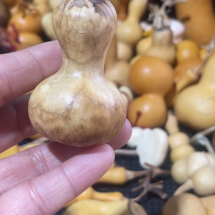 余***心葫芦哈哈哈哈哈哈哈哈回家