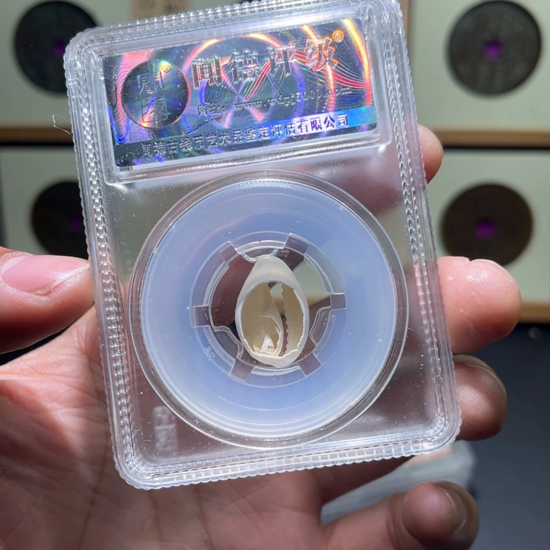 铜贝币古珍福利7777777777