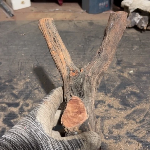 庆***）大果紫檀（缅甸花梨）