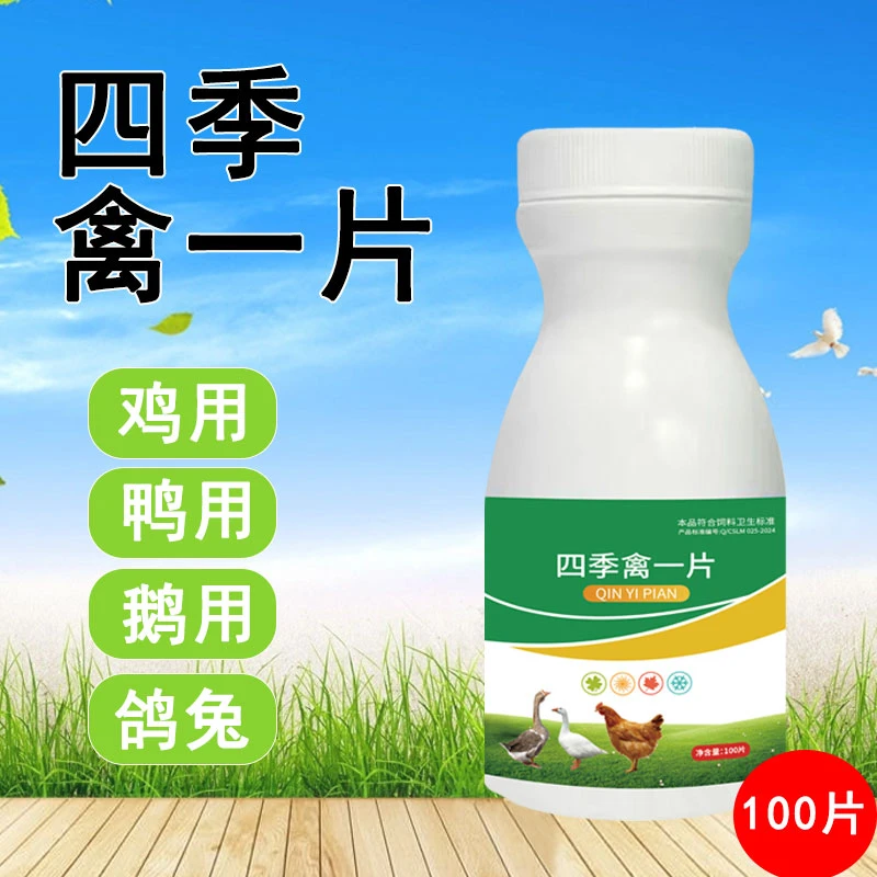四季禽一片鸡鸭鹅通用禽类养殖使用产品畜牧添加剂厂家直销正品