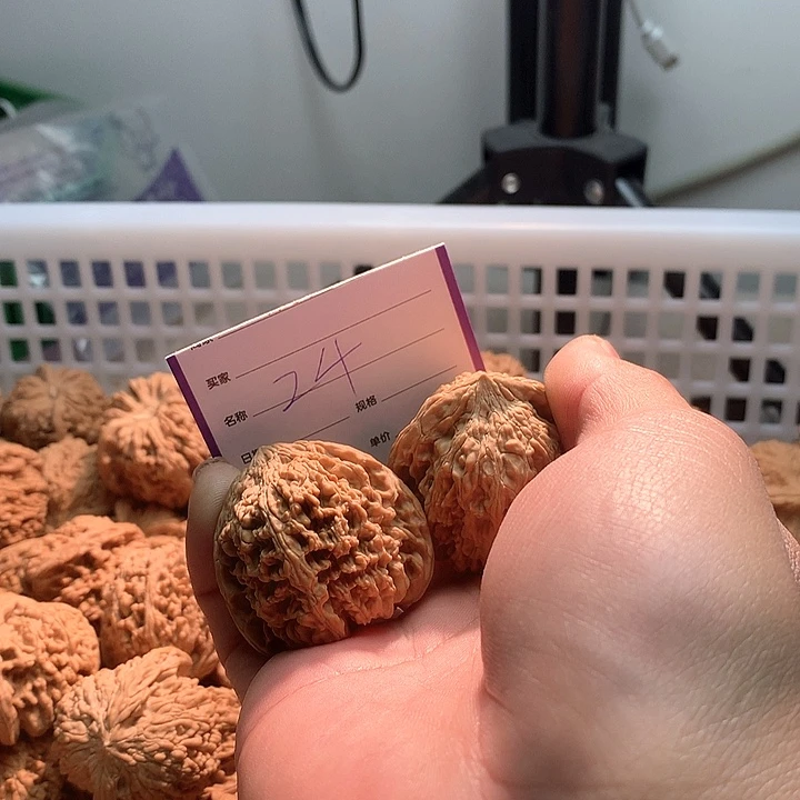 文玩核桃把件就****吹满天星