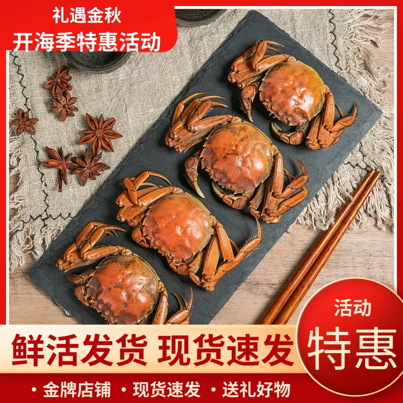 江苏大闸蟹【活蟹】2两全母10只包邮到家网兜礼盒装鲜活发货