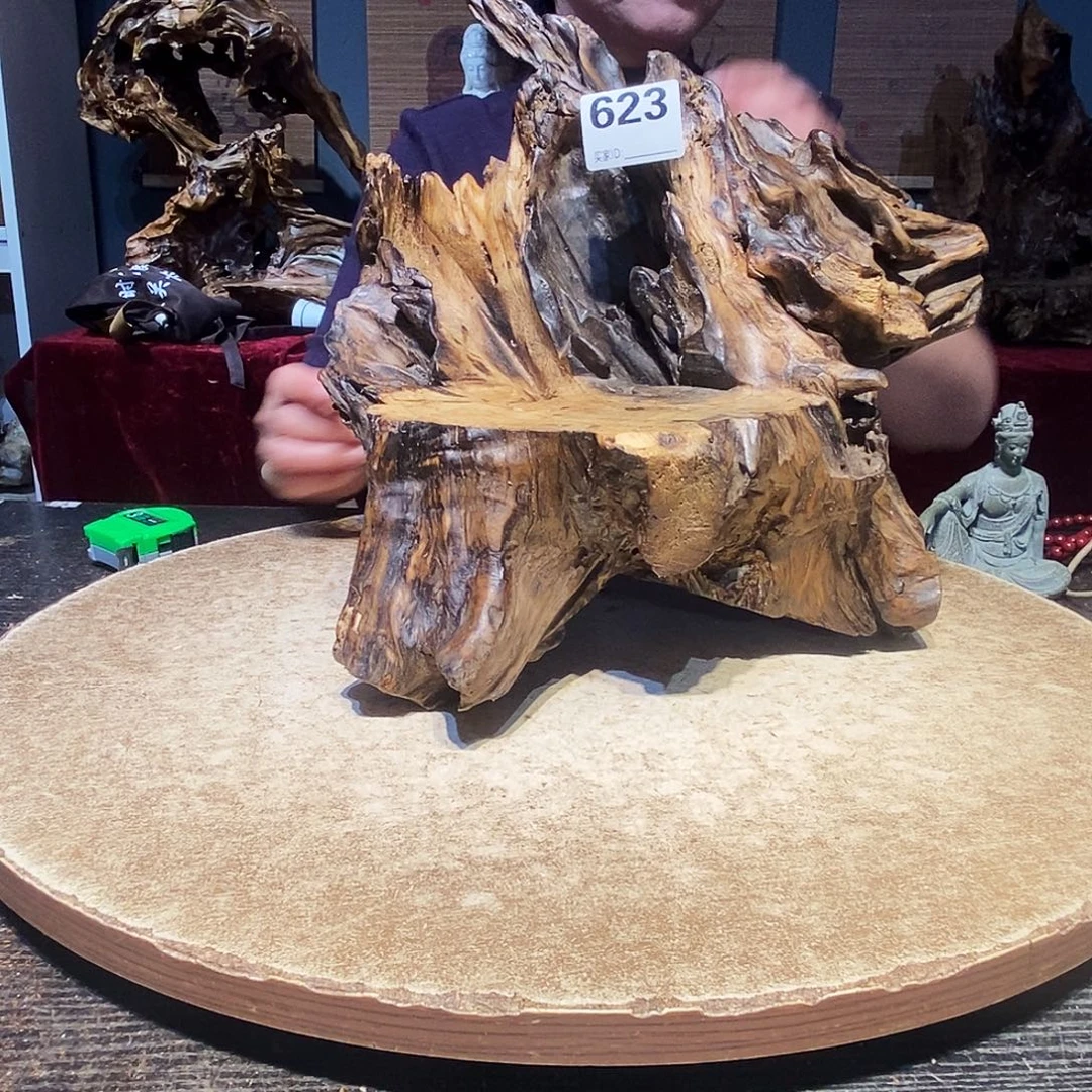 Z***Z623。株木随行根艺