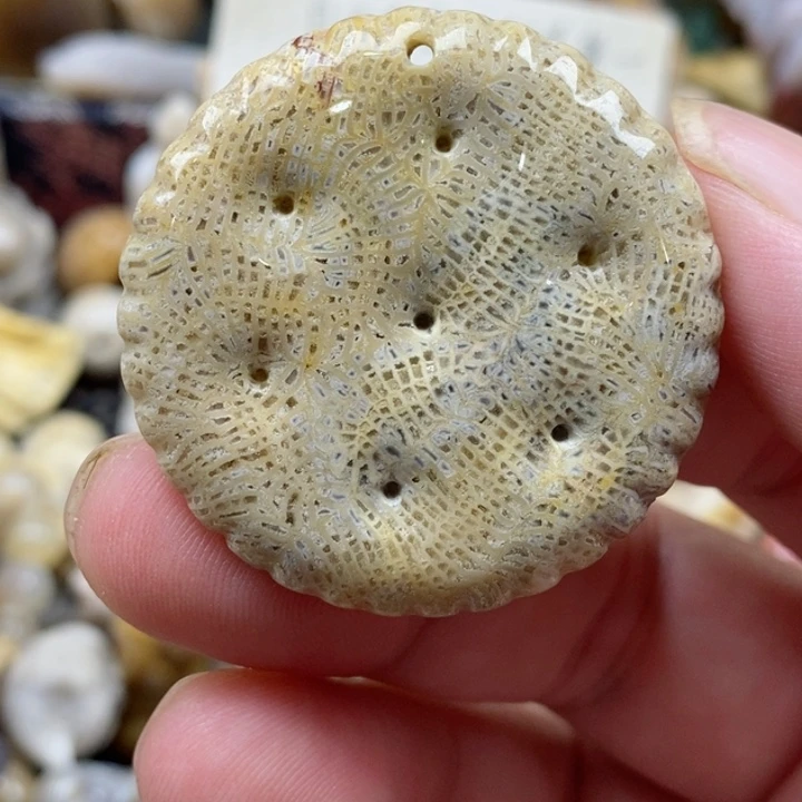 颈饰未镶嵌硅化珊瑚（珊瑚玉）