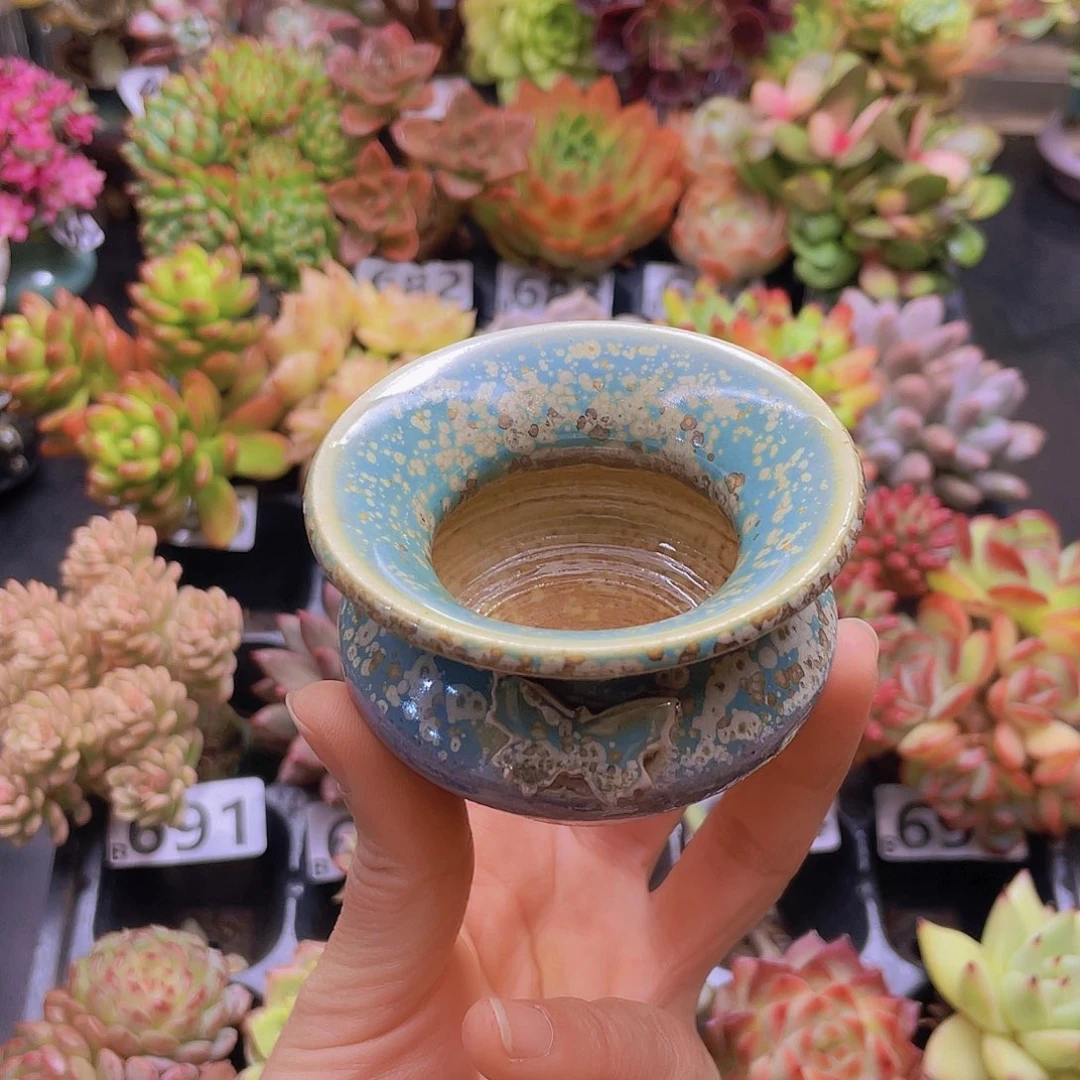 南***具花钱花钱花钱花钱花钱