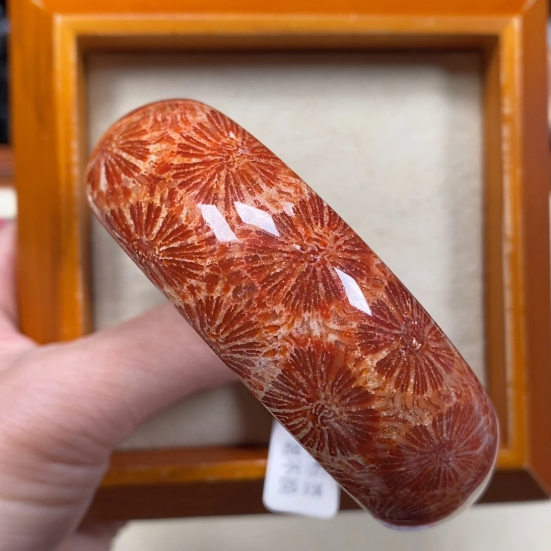 ꒰***꒱硅化珊瑚未镶嵌手镯圈口59