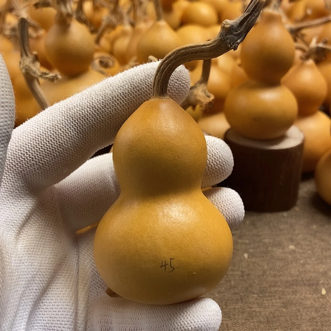 文玩葫芦 完美主义者 慎拍45