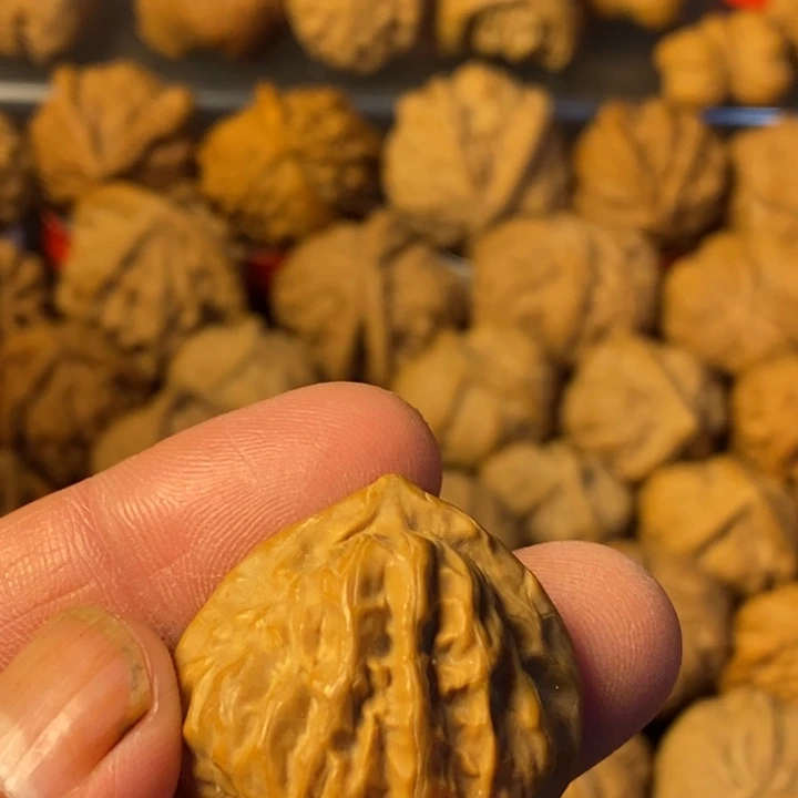 过***客大叶紫檀（黑酸枝木类）