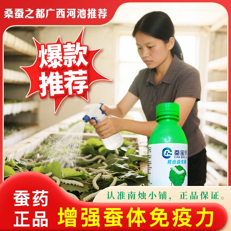 蚕宝乐益生菌养蚕专用预防脓病僵病保鲜桑叶提产增茧提产正品