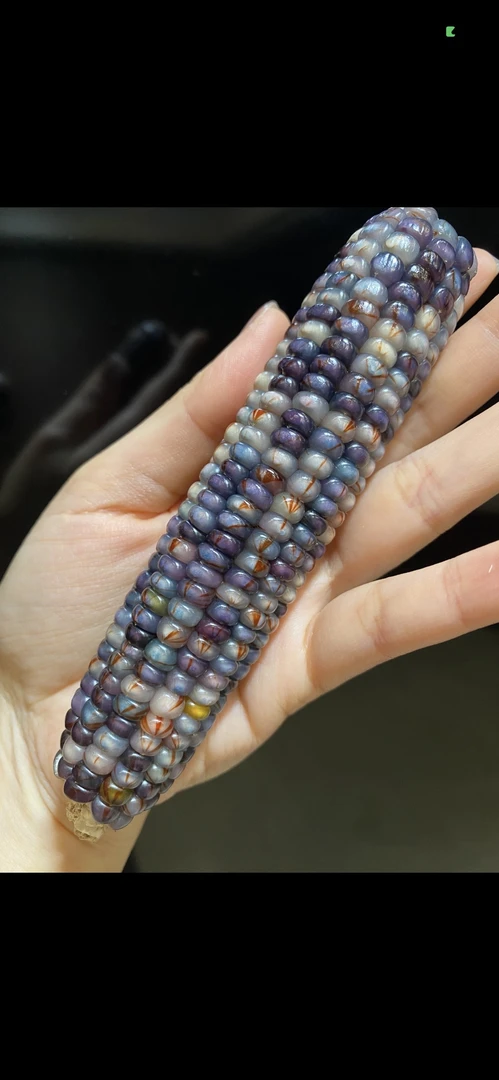 文玩玉米手把件    直播间实物为准     一物一拍