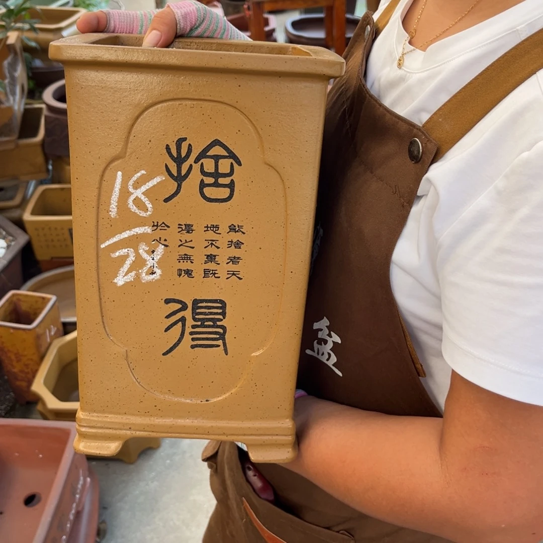 紫砂花盆盆景艺术