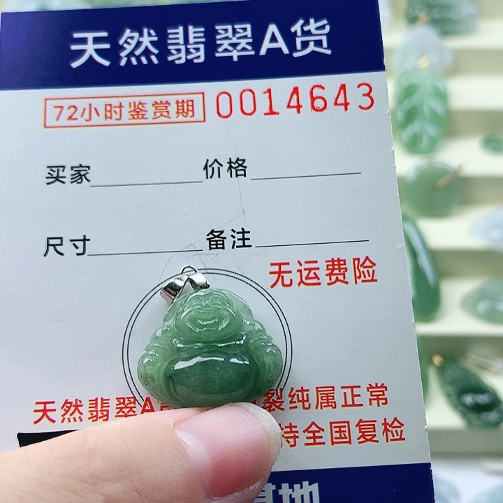 颈饰未镶嵌翡翠吊