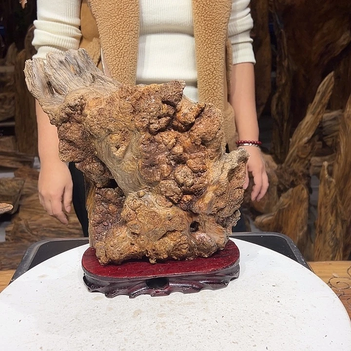 松木（琥珀木）给***生