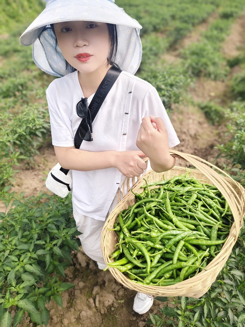 高山本地农家新鲜现摘薄皮香辣青辣椒中辣