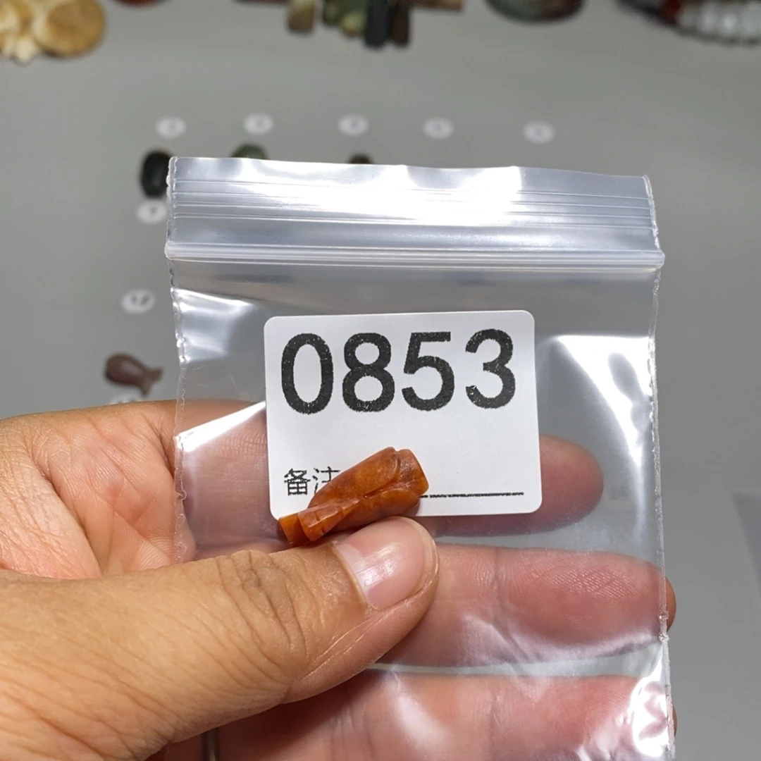 颈饰未镶嵌透闪石质玉淼*