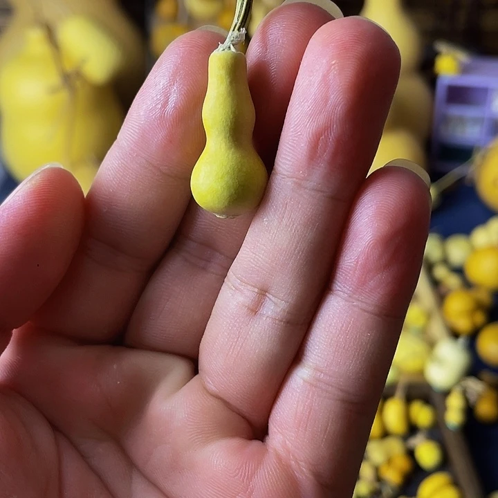 草里金卡2,8大包头