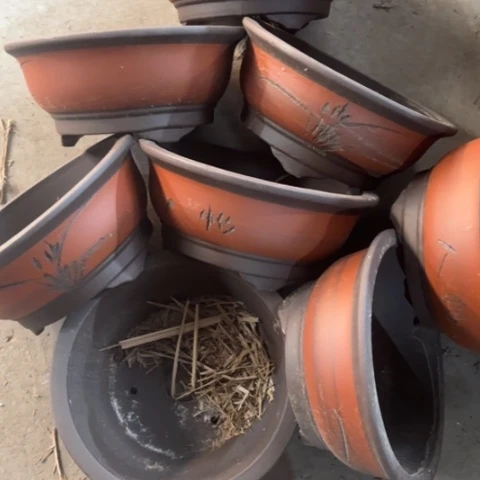 紫砂花盆100-8。   23-10