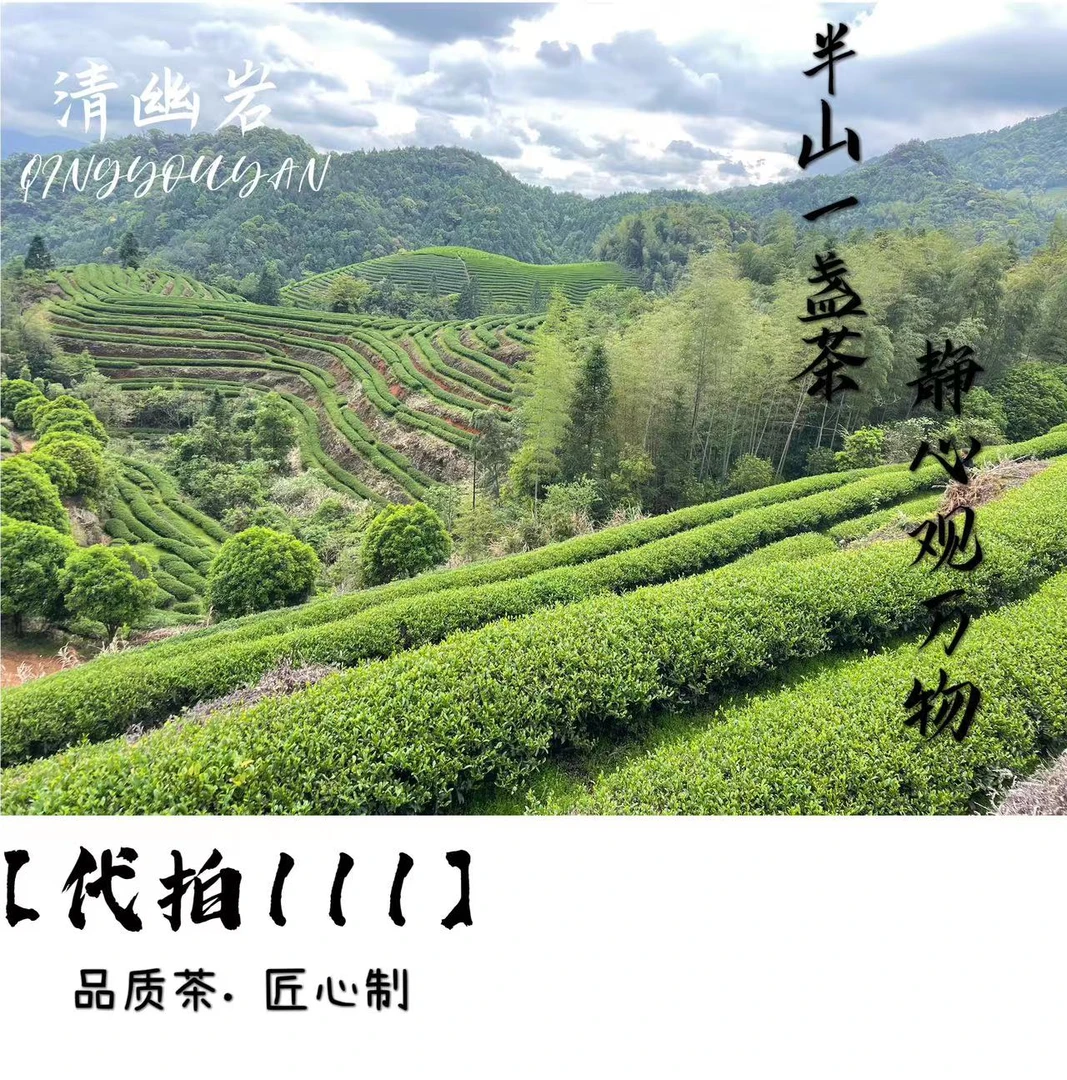 【代拍111】武夷岩茶代拍组合链接