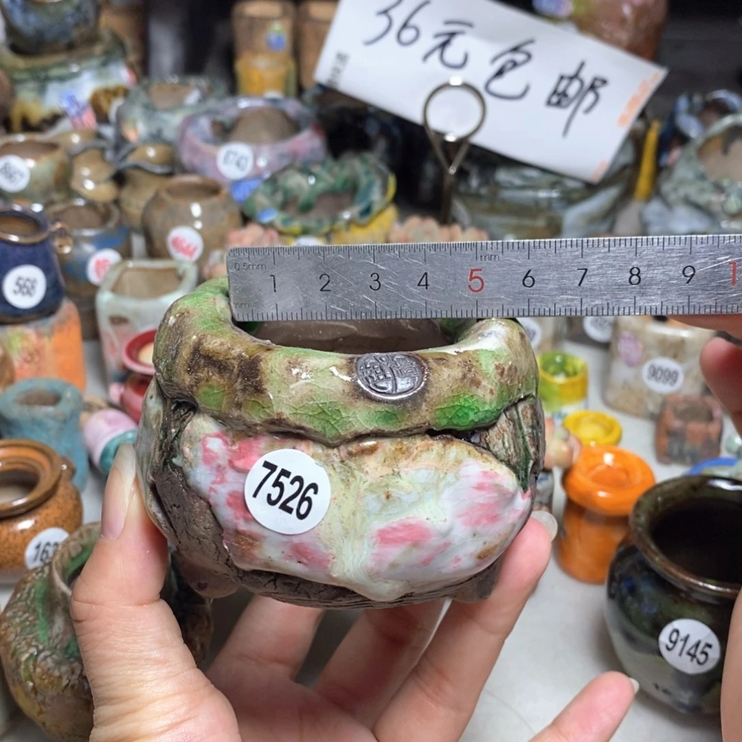 拍3送一个小礼物