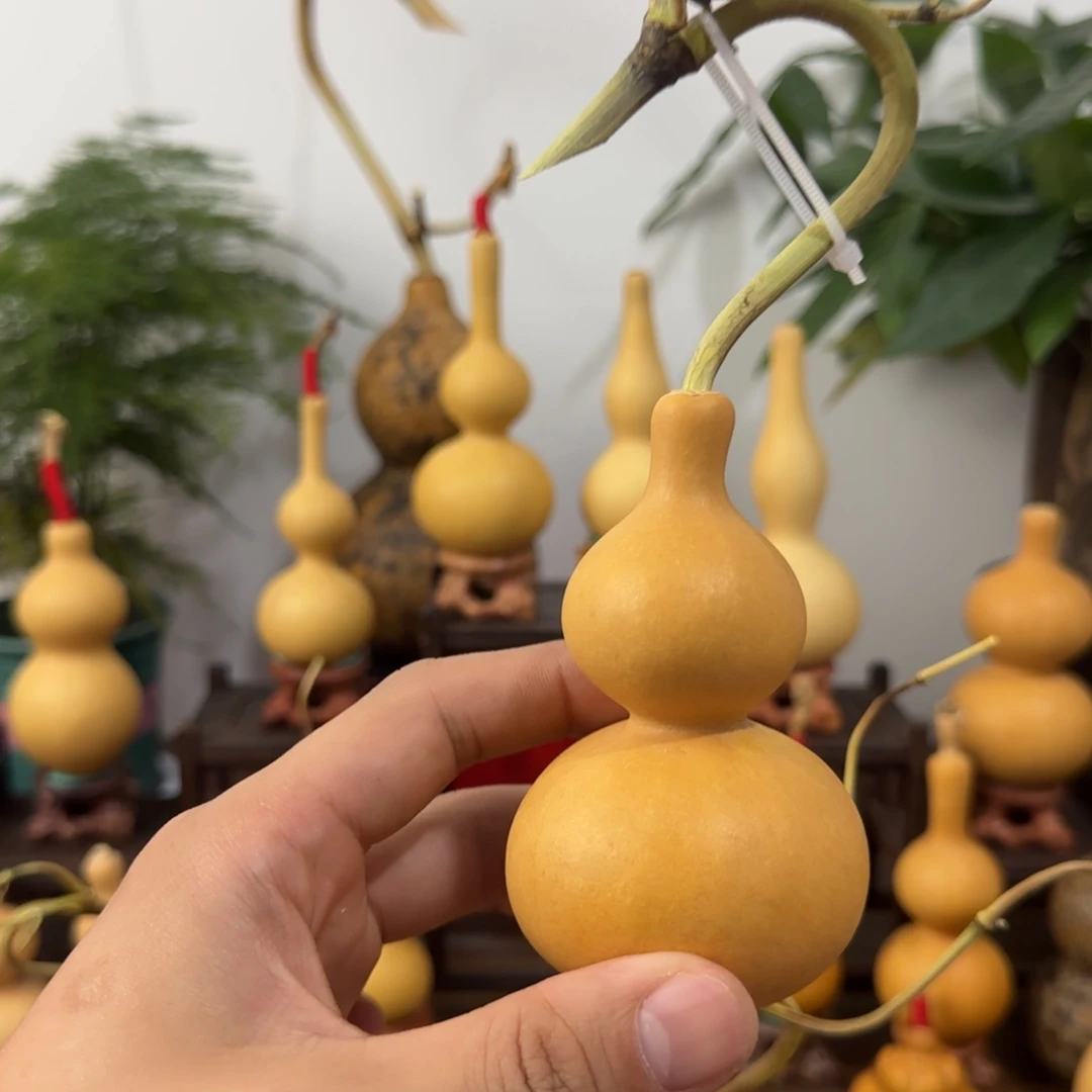 萍***g啊啊啊啊啊啊啊啊啊啊啊啊啊啊