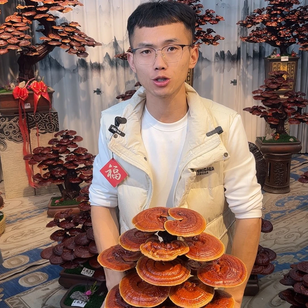 无花朵88888888888