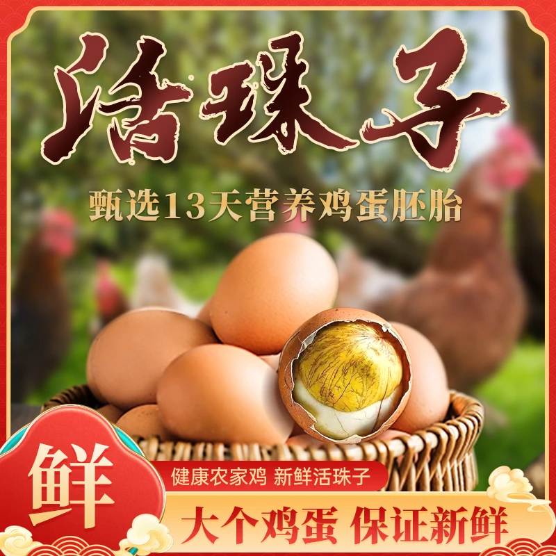 五香味活珠子鲜香入味优质活鸡胚开袋即食好吃到停不下来