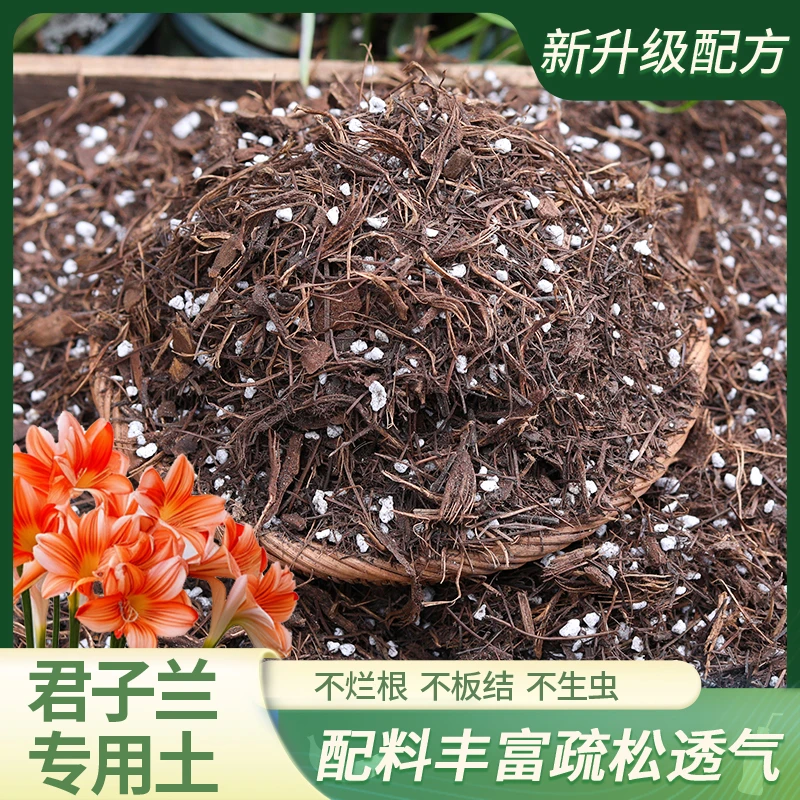 【非工业废土】君子兰专用土花卉盆栽腐殖腐叶兰花土骨粉松针兰科